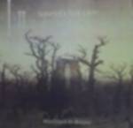 Swallowed By Silence